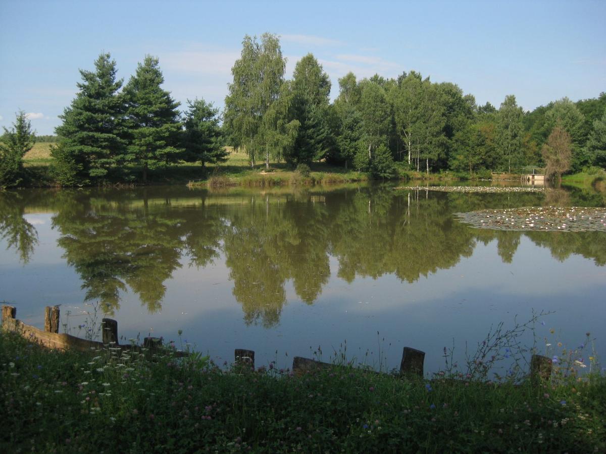 Lahinja & Kolpa River Apartments متليكا المظهر الخارجي الصورة